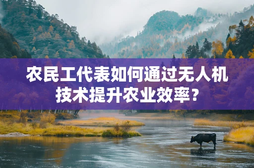农民工代表如何通过无人机技术提升农业效率？