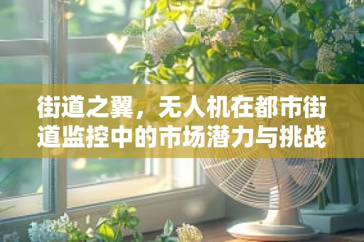 街道之翼，无人机在都市街道监控中的市场潜力与挑战