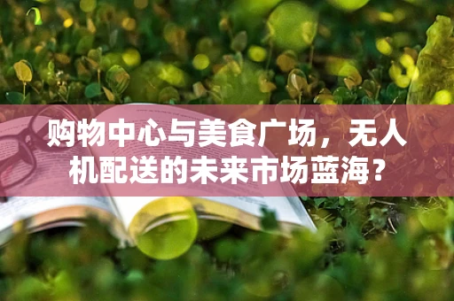 购物中心与美食广场，无人机配送的未来市场蓝海？