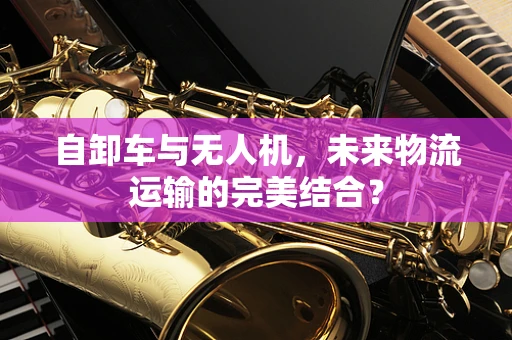自卸车与无人机，未来物流运输的完美结合？