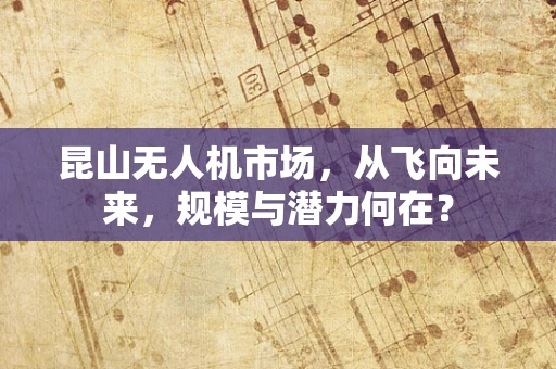 昆山无人机市场，从飞向未来，规模与潜力何在？
