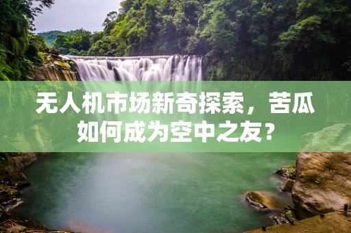 无人机市场新奇探索，苦瓜如何成为空中之友？