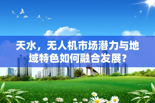 天水，无人机市场潜力与地域特色如何融合发展？