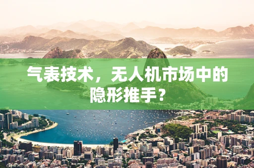 气表技术，无人机市场中的隐形推手？