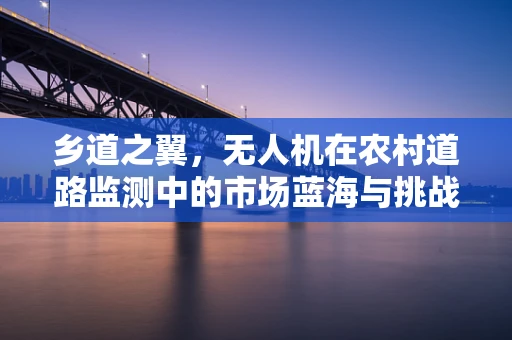 乡道之翼，无人机在农村道路监测中的市场蓝海与挑战