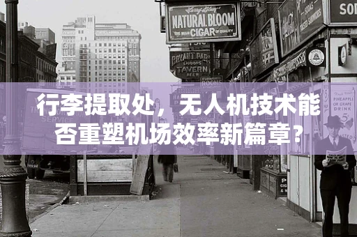 行李提取处，无人机技术能否重塑机场效率新篇章？