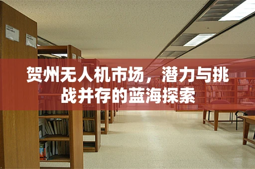 贺州无人机市场，潜力与挑战并存的蓝海探索