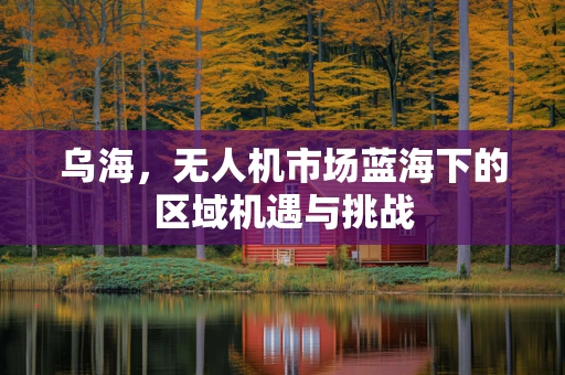 乌海，无人机市场蓝海下的区域机遇与挑战
