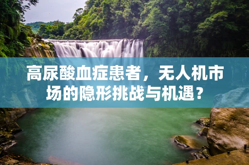 高尿酸血症患者，无人机市场的隐形挑战与机遇？