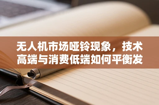 无人机市场哑铃现象，技术高端与消费低端如何平衡发展？
