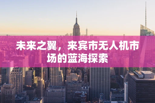 未来之翼，来宾市无人机市场的蓝海探索