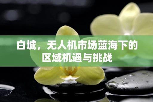 白城，无人机市场蓝海下的区域机遇与挑战