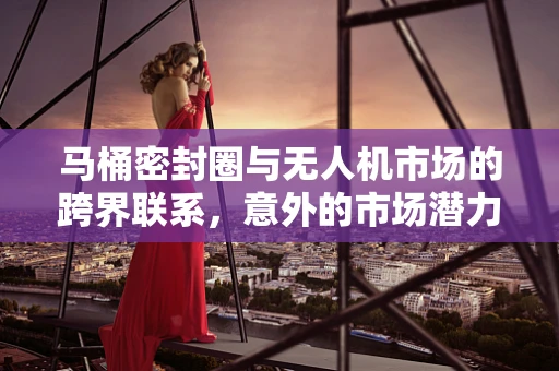 马桶密封圈与无人机市场的跨界联系，意外的市场潜力？