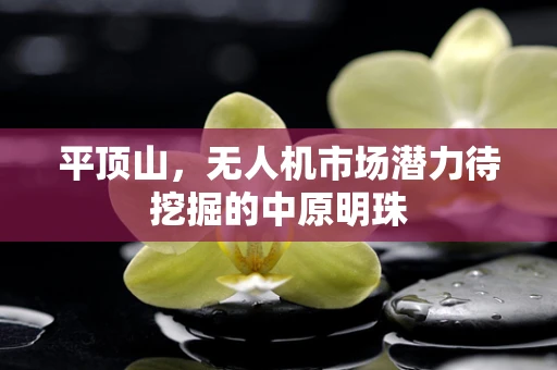 平顶山，无人机市场潜力待挖掘的中原明珠