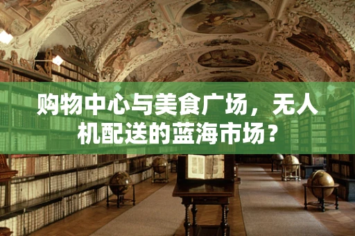 购物中心与美食广场，无人机配送的蓝海市场？