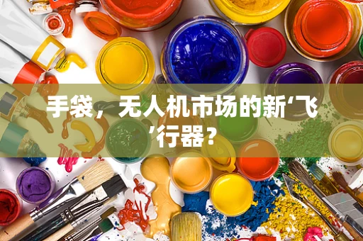 手袋，无人机市场的新‘飞’行器？