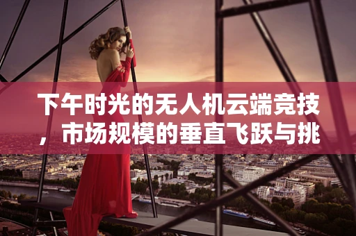 下午时光的无人机云端竞技，市场规模的垂直飞跃与挑战