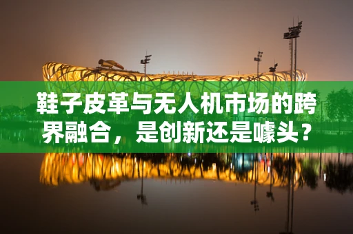 鞋子皮革与无人机市场的跨界融合，是创新还是噱头？