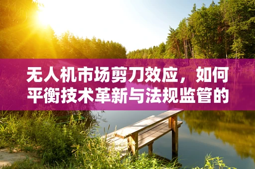 无人机市场剪刀效应，如何平衡技术革新与法规监管的剪刀？