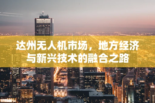 达州无人机市场，地方经济与新兴技术的融合之路