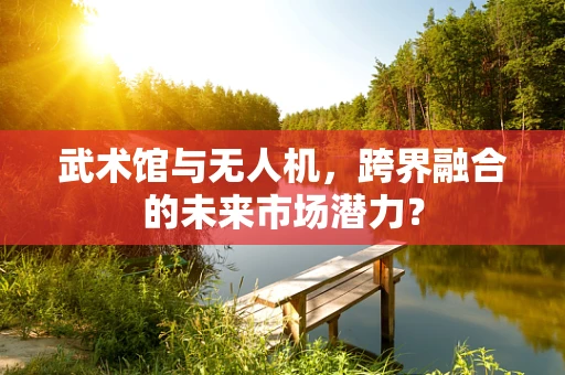 武术馆与无人机，跨界融合的未来市场潜力？
