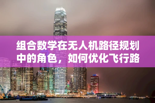 组合数学在无人机路径规划中的角色，如何优化飞行路径以扩大市场规模？