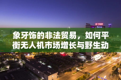 象牙饰的非法贸易，如何平衡无人机市场增长与野生动物保护？