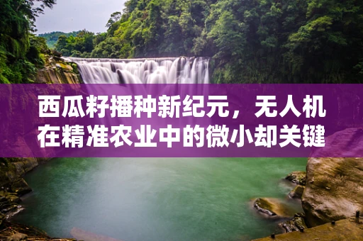 西瓜籽播种新纪元，无人机在精准农业中的微小却关键角色？