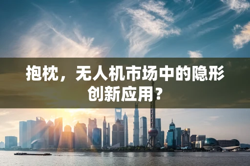 抱枕，无人机市场中的隐形创新应用？