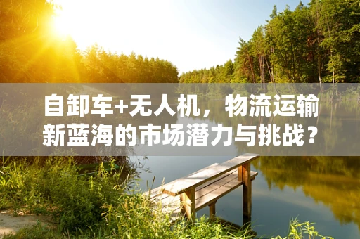 自卸车+无人机，物流运输新蓝海的市场潜力与挑战？