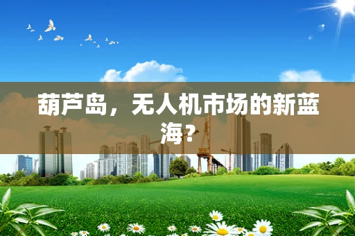 葫芦岛，无人机市场的新蓝海？