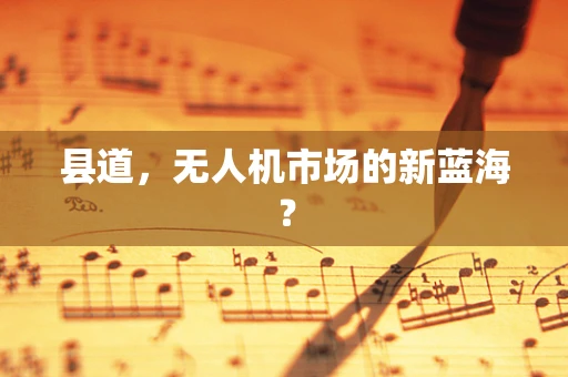 县道，无人机市场的新蓝海？
