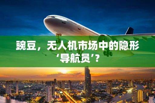 豌豆，无人机市场中的隐形‘导航员’？