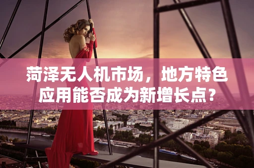 菏泽无人机市场，地方特色应用能否成为新增长点？