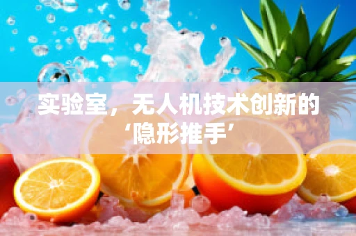 实验室，无人机技术创新的‘隐形推手’