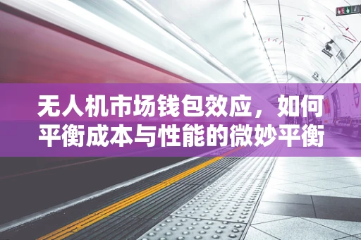 无人机市场钱包效应，如何平衡成本与性能的微妙平衡？