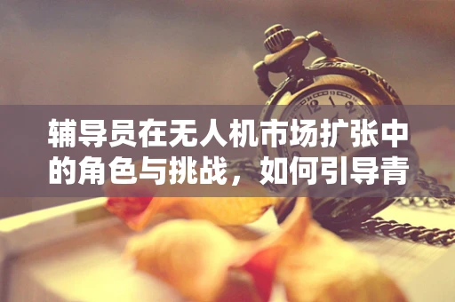 辅导员在无人机市场扩张中的角色与挑战，如何引导青少年安全、理性地探索无人机世界？