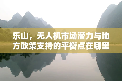 乐山，无人机市场潜力与地方政策支持的平衡点在哪里？