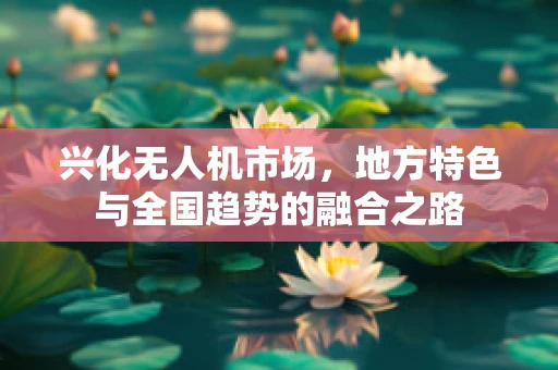 兴化无人机市场，地方特色与全国趋势的融合之路
