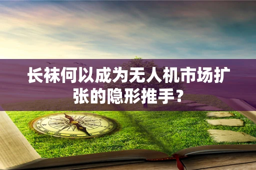 长袜何以成为无人机市场扩张的隐形推手？