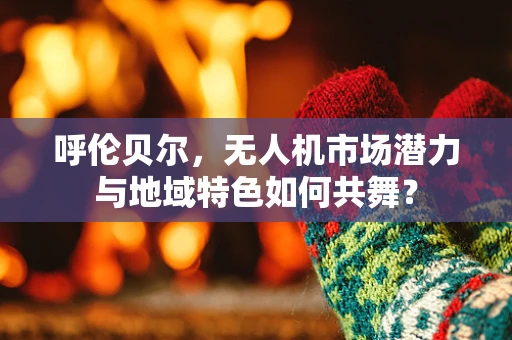 呼伦贝尔，无人机市场潜力与地域特色如何共舞？