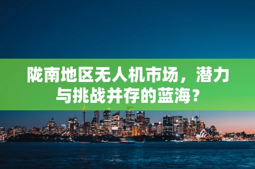 陇南地区无人机市场，潜力与挑战并存的蓝海？