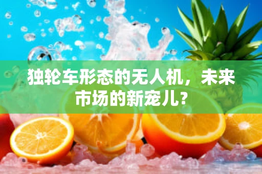 独轮车形态的无人机，未来市场的新宠儿？