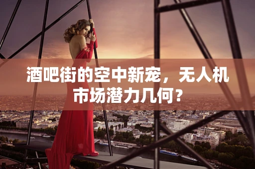 酒吧街的空中新宠，无人机市场潜力几何？