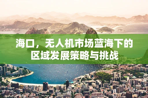 海口，无人机市场蓝海下的区域发展策略与挑战