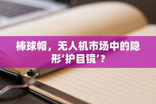 棒球帽，无人机市场中的隐形‘护目镜’？