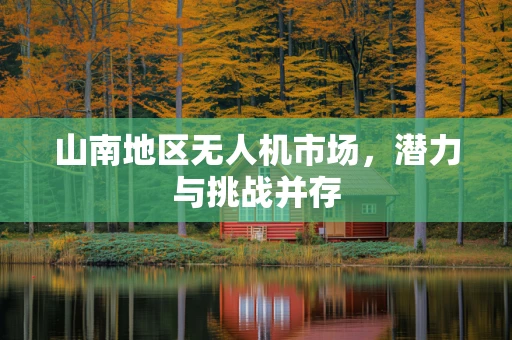 山南地区无人机市场，潜力与挑战并存