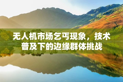 无人机市场乞丐现象，技术普及下的边缘群体挑战