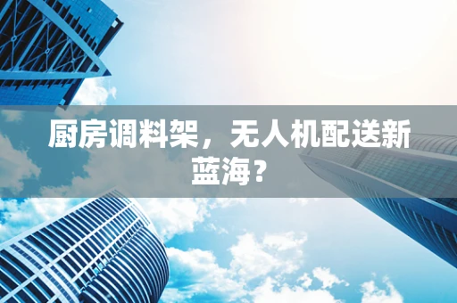 厨房调料架，无人机配送新蓝海？