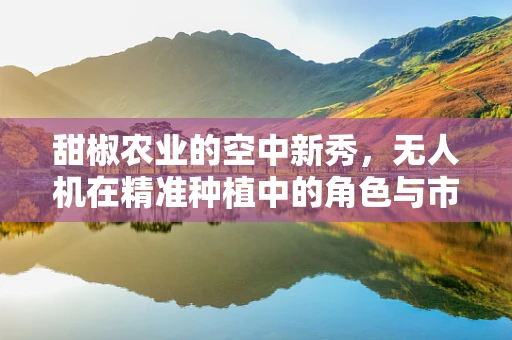 甜椒农业的空中新秀，无人机在精准种植中的角色与市场潜力